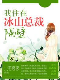 我冰山总裁老婆无弹窗