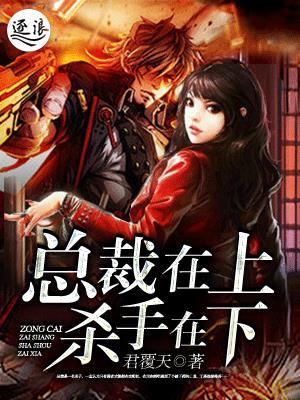 总裁在上我在下男主