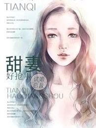 总裁的试婚甜妻