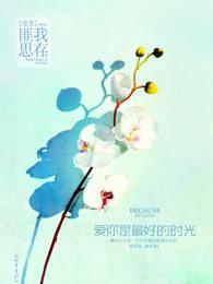 爱你是最好的时光全文阅读