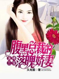 天降三宝腹黑总裁的落魄娇妻全集免费阅读