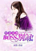 boss别闹秦戬安音
