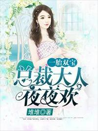 一胎双宝总裁大人夜夜欢阮白慕少凌 笔趣阁