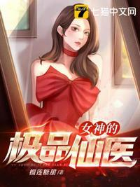 极品仙医高手