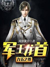 军网龙首九五之尊zip