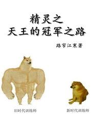 精灵之天王的冠军之路txt精校