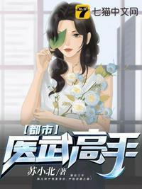 都市医武圣手