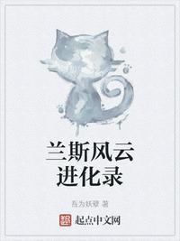 兰斯风云进化录无删减