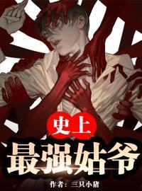 无敌姑爷完整版