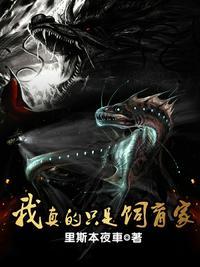 我真的只是一个训练师