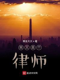 我是律师的意思