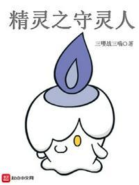 精灵之守灵人txt电子书