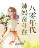 辣妈奋斗在八零年代讲的是什么