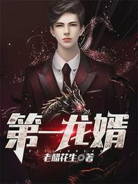 第一龙婿冷枫笔趣阁免费阅读