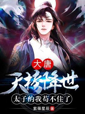 大唐天榜人