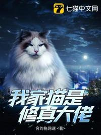 我家大佬是只猫