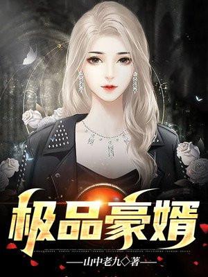 极品豪婿全文在线阅读