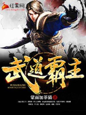 武道天帝怎么样