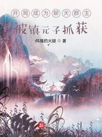 我开局就将聊天群上交国家