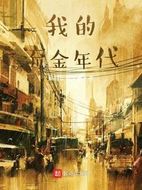 流金时代简介