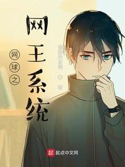 网球王子之网王系统