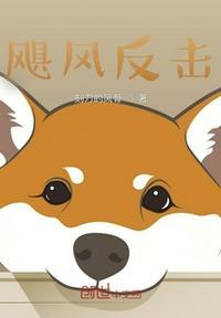 飓风 弓