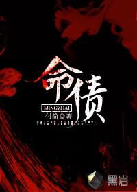命债土耳其电视剧