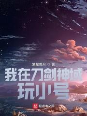 进入刀剑神域