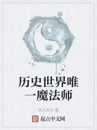 历史世界唯一一个魔法师