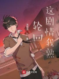 轮回之主叶辰是什么