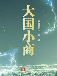 大国小商 聚合中文网