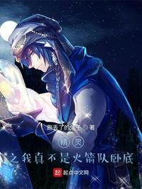 精灵之我真不是全能的