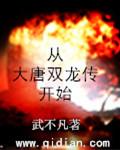 从大唐双龙传开始笔趣阁