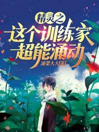 精灵之培育训练家桐木