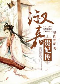 淑嘉贵妃传TXT百度免费