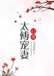 太傅宠妻日常百度