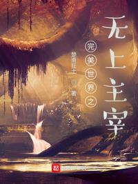 完美世界之无上主宰百度百科