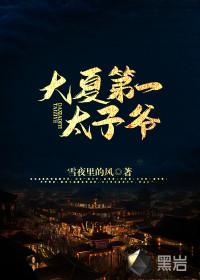 大夏第一太子爷完整版免费