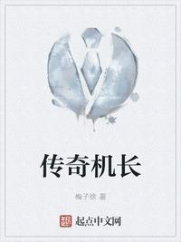 传奇机长专用网站