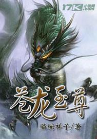 苍龙至尊短剧免费观看