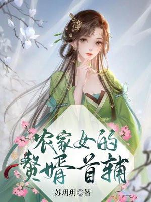 农家女婿不好当全文免费阅读