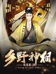乡野小神医全本免费阅读