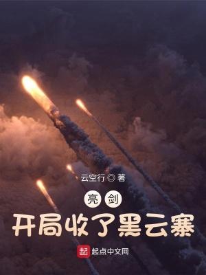 亮剑开局收了黑云寨 第569章