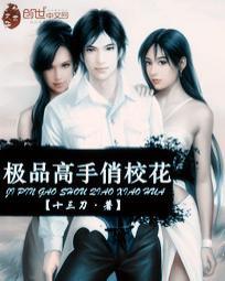 极品高高手全文免费阅读