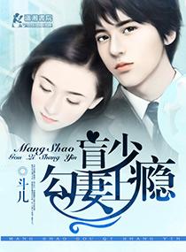 盲少爱妻上瘾盘