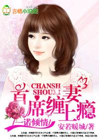 一诺倾情原著