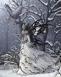 西涧春雪茶多少钱一斤