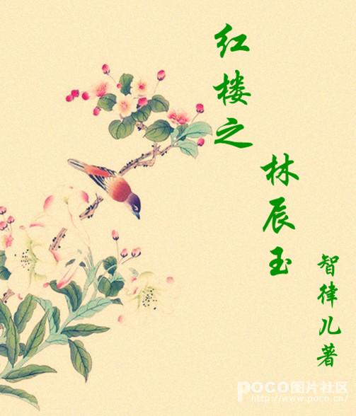 随身空间之红楼女主