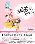 追夫手册