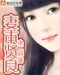 妻本贤良游戏攻略